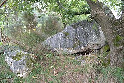 A Pierre-Blanche (Pléchâtel) cikk szemléltető képe