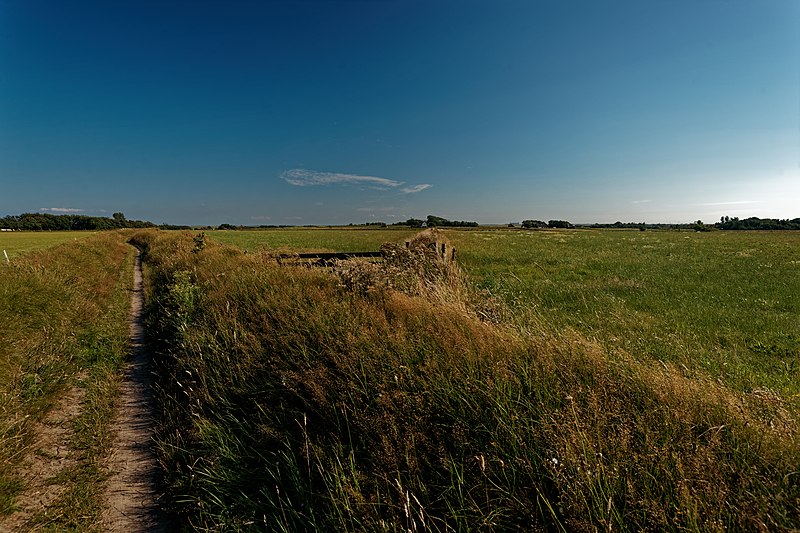 File:Texel - Hoge Berg - Leemkuul - Footpath - View South IV.jpg