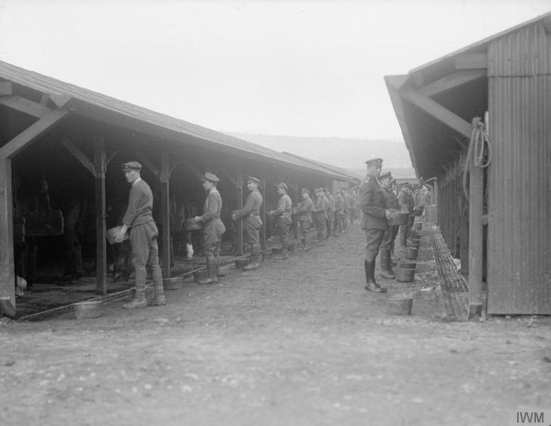 File:The British Army on the Western Front, 1914-1918 Q8530.jpg