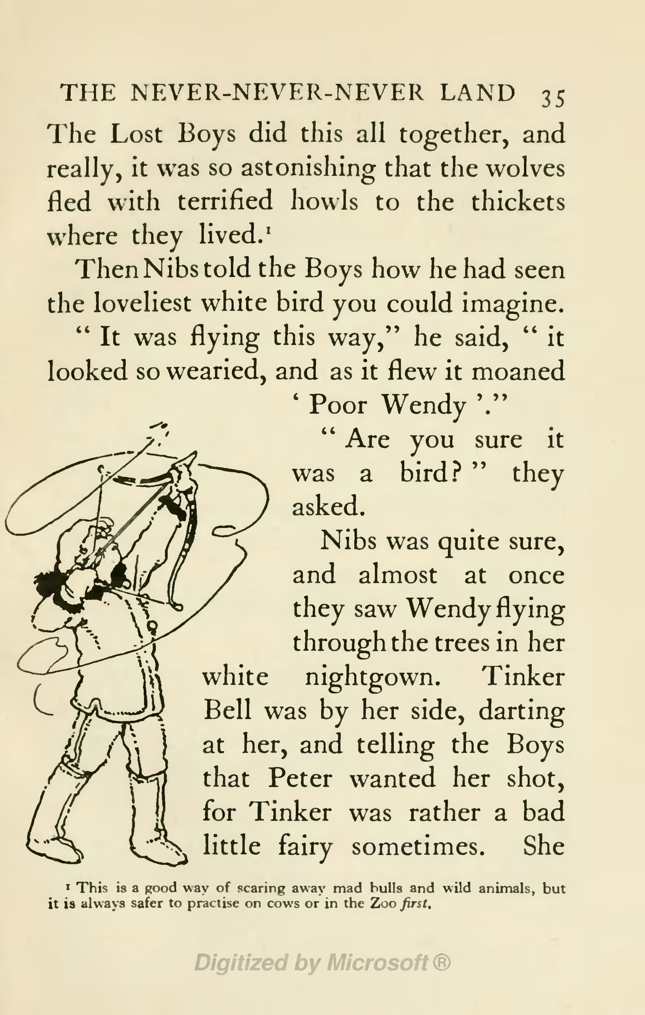 Revisiting Never Land: Celebrating 65 Years of Peter Pan