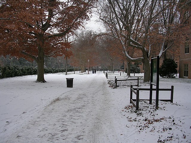 640px-The_Sunken_Gardens_at_the_College_of_William_and_Mary_in_the_snow_(3502134828).jpg (640×480)