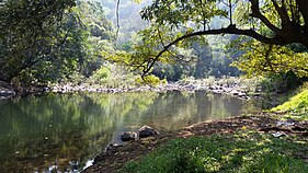 Thenan Nehri