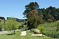 Chemin de l'ANZAC