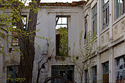 English: A tree on the second floor of a burnt club building Deutsch: Дерево на втором этаже сгоревшего клуба