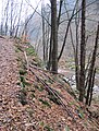 Čeština: Přírodní rezervace Údolí Jizery u Semil a Bítouchova u města Semily, okres Semily - ČR English: Natural reserve Údolí Jizery u Semil a Bítouchova near town Semily (in Semily District - Czech Republic)