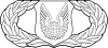 United States Air Force Operations Support Badge.svg