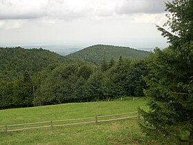 Der Gipfel vom Molkenrain aus gesehen