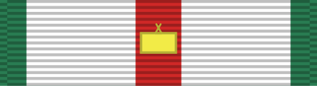 Tập_tin:Vietnam_Leadership_Medal-Brigade_ribbon.svg