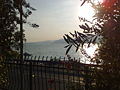 Vista Lago di Garda2.jpg