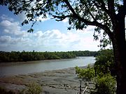 Vista do Rio Sipotiúa na APA das Reentrâncias Maranhenses