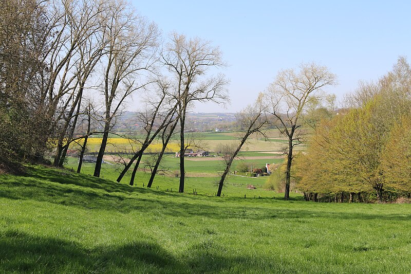 File:Vlaamse Ardennen 167.jpg