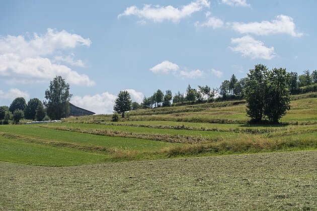 Kulturterrassen bei Ödenkirchen von Ailura