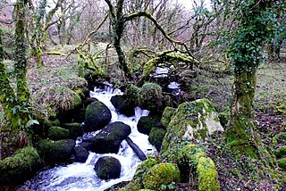 Walla Brook Four streams on Dartmoor in Devon, England