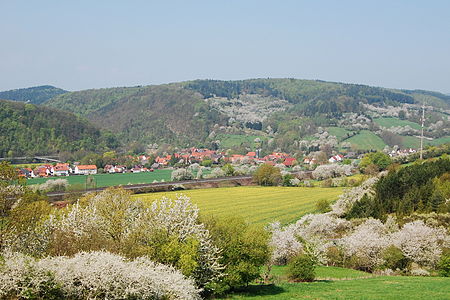 Werleshausenkirschbluete2013