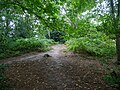 The Bronze Age bowl barrow at Millpond Wood in Sevenoaks. [139]