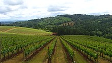 Plik:Wineries_Hwy_99.jpg