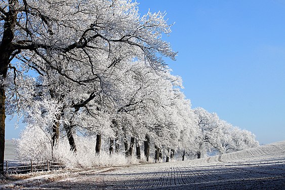 Frostige Winterlandschaft