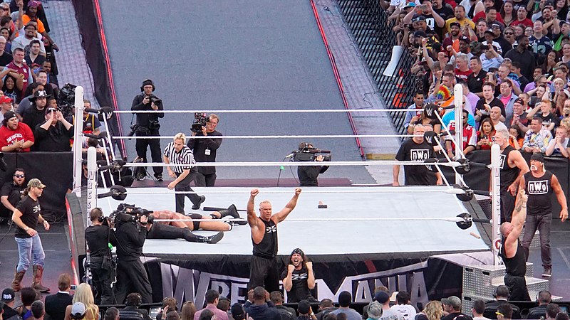 File:WrestleMania 31 2015-03-29 17-23-41 ILCE-6000 7693 DxO (17229808414).jpg