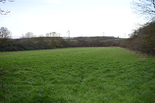 <span class="mw-page-title-main">Yelden Meadows</span>