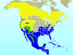 Paruline à croupion jaune-rangemap.gif