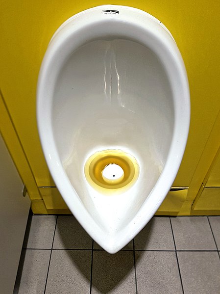 File:Zero Flush blocked urinal at Sainsbury's Low Hall, Chingford, London, England.jpg