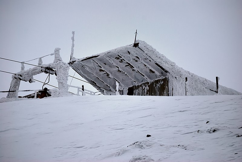 File:Занесённая снегом или в инее.jpg