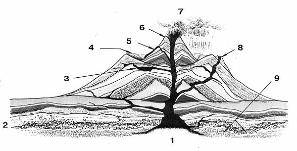 Схема вулкана. Строение вулканического аппарата. Стратовулкан схема строения. Строение вулкана схема. Сомма вулкан схема.