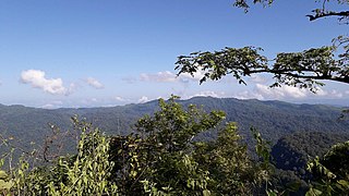 <span class="mw-page-title-main">Aiyang Tlang</span> Mountain on the Bangladesh–Myanmar border