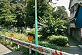 東名高速脇、伐れずの木 - panoramio (4).jpg