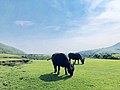 於 2021年5月6日 (四) 23:51 版本的縮圖