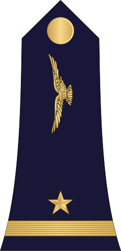 File:08.Cameroon Air Force-2LT.svg