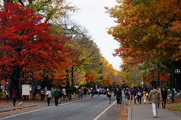 Image: 131103 Hokkaido University Sapporo Hokkaido Japan 12s 5