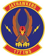 177-a Information Warfare Aggressor Squadron-emblem.jpg