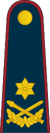 19-Lithuania Air Force-BG.svg