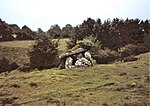 1996.08.18-1B.FenaghBeg.jpg