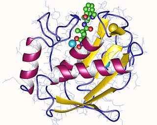 Interstitial collagenase