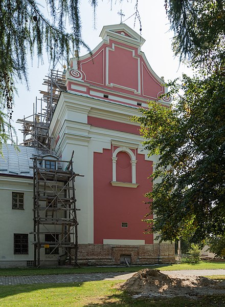 File:2014 Tarnobrzeg, kościół Wniebowzięcia NMP, 60.JPG