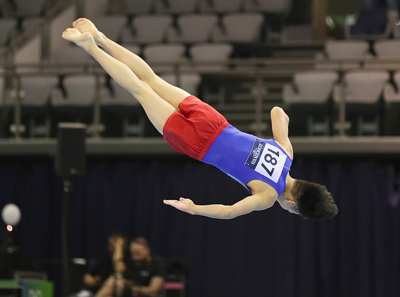 File:2019-06-27 1st FIG Artistic Gymnastics JWCH Men's All-around competition Subdivision 3 Floor exercise (Martin Rulsch) 195.jpg