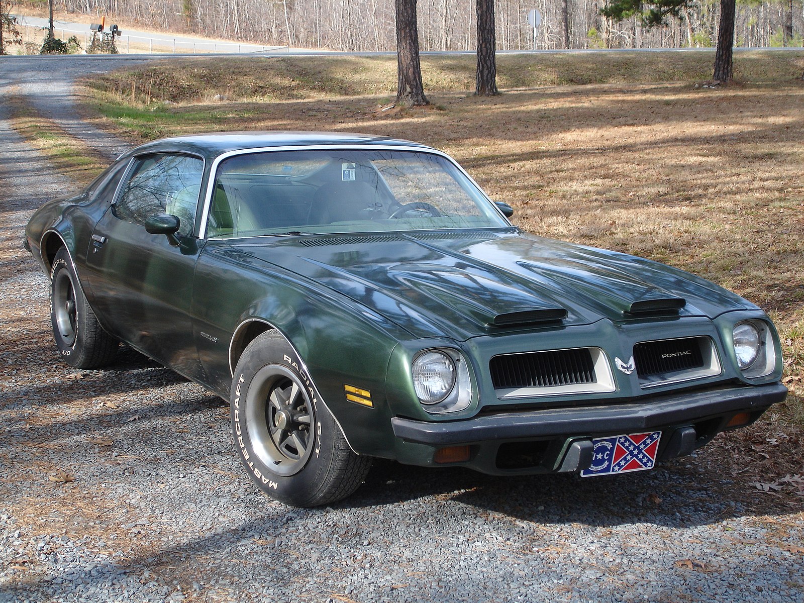 Pontiac Firebird Trans am 1974