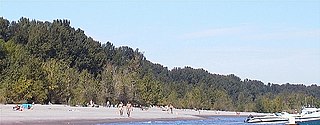 <span class="mw-page-title-main">Collins Beach (Sauvie Island)</span> Beach in Oregon, United States