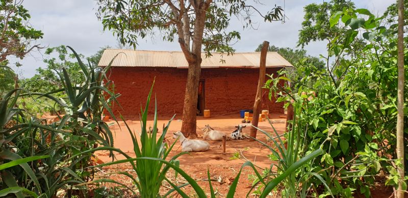 File:A glimpse into a Kilifi family homestead.png