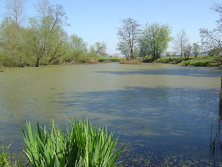 Aegelsee (Zeiningen) 1