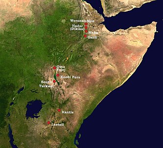 Afarensis east Africa