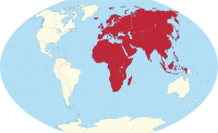 Posizione dell'Africa-Eurasia su una mappa del mondo