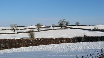 Alfreton-Snow-Hedges.jpg