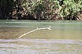 Alto Araguaia - State of Mato Grosso, Brazil - panoramio (1002).jpg