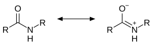 Resonance structures of an amide Amide resonance.svg