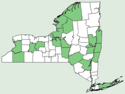 Anthemis cotula NY-dist-map.png
