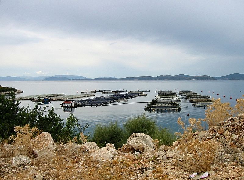 File:Aquaculture Western Greece 2004.jpg