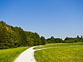 de: Arboretum Main-Taunus, Abzweigung Geologischer Lehrpfad (G)